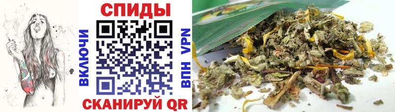 Купить где  Ялуторовск  Бутират BDO 