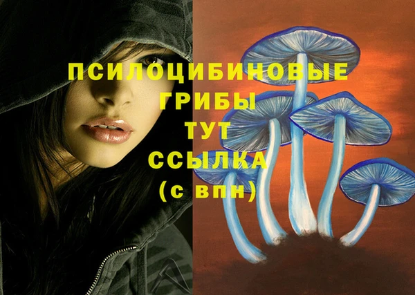 MDMA Premium VHQ Михайлов